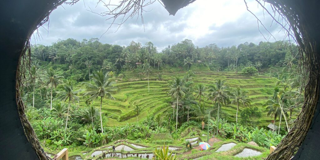 Bali-03-20230131
